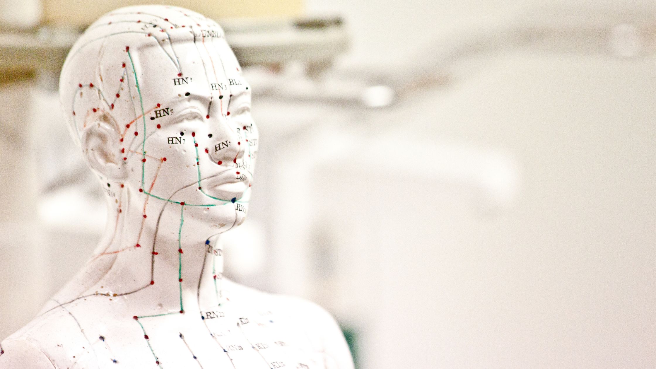 Exploring the Science Behind Acupuncture and How It May Work